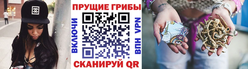 Псилоцибиновые грибы мицелий  kraken вход  Чехов 
